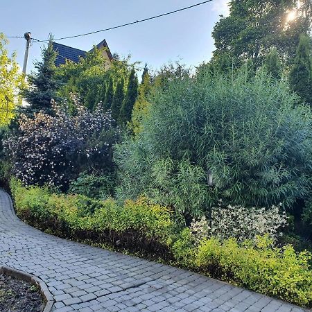 Appartement Willa Bukowina à Bukowina Tatrzańska Extérieur photo
