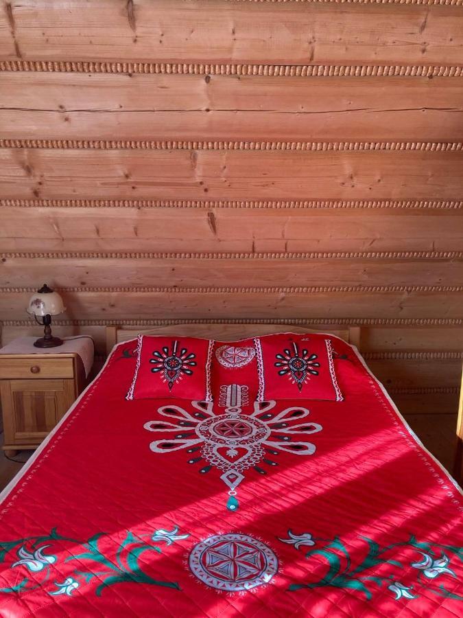 Appartement Willa Bukowina à Bukowina Tatrzańska Extérieur photo