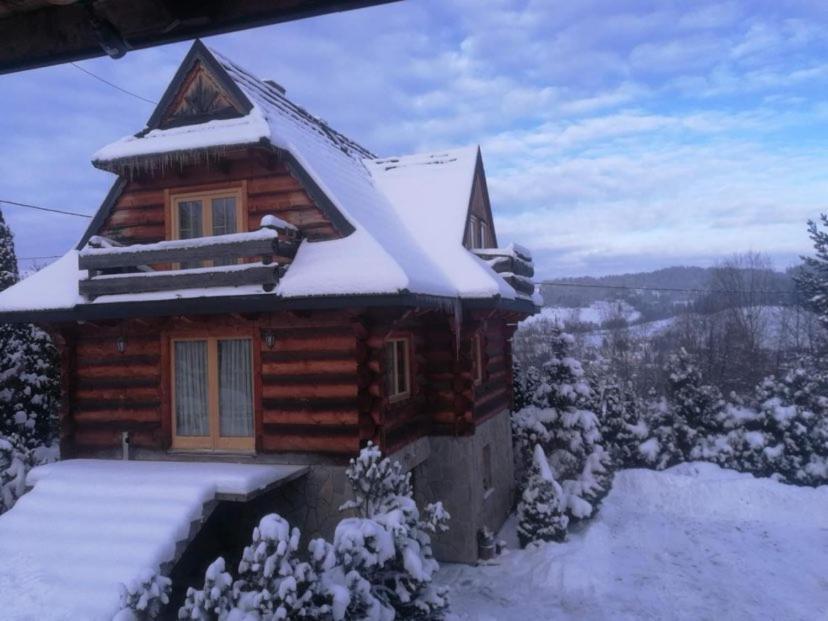 Appartement Willa Bukowina à Bukowina Tatrzańska Extérieur photo