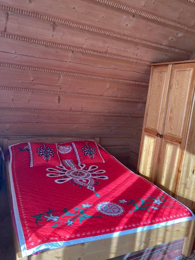 Appartement Willa Bukowina à Bukowina Tatrzańska Extérieur photo